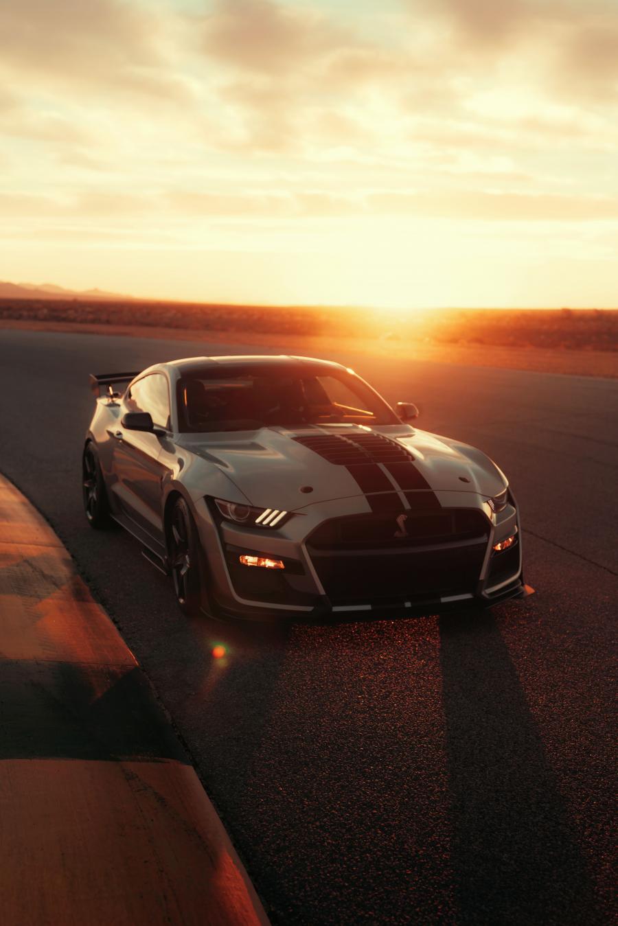  Ford Mustang Shelby GT500 2019 года  (фото 42 из 119)